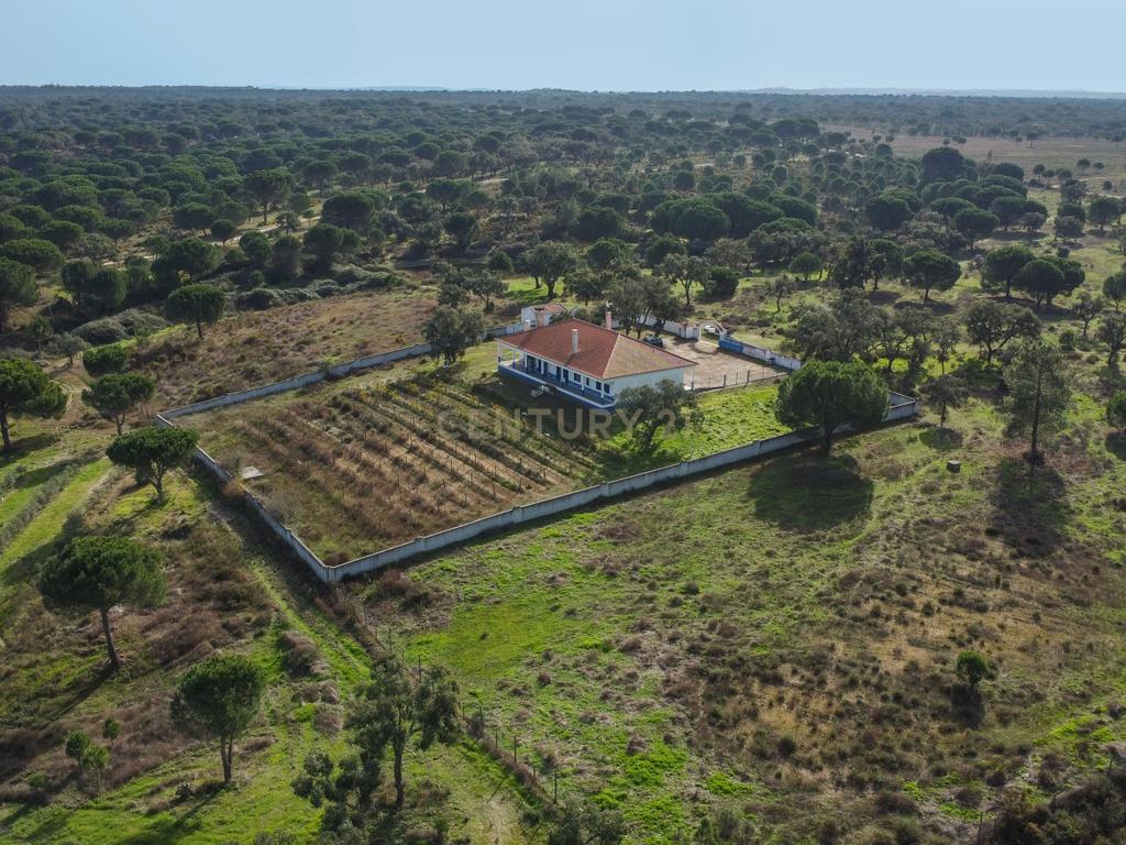 Moradia T4 em Herdade de 9,5 ha - Image 68