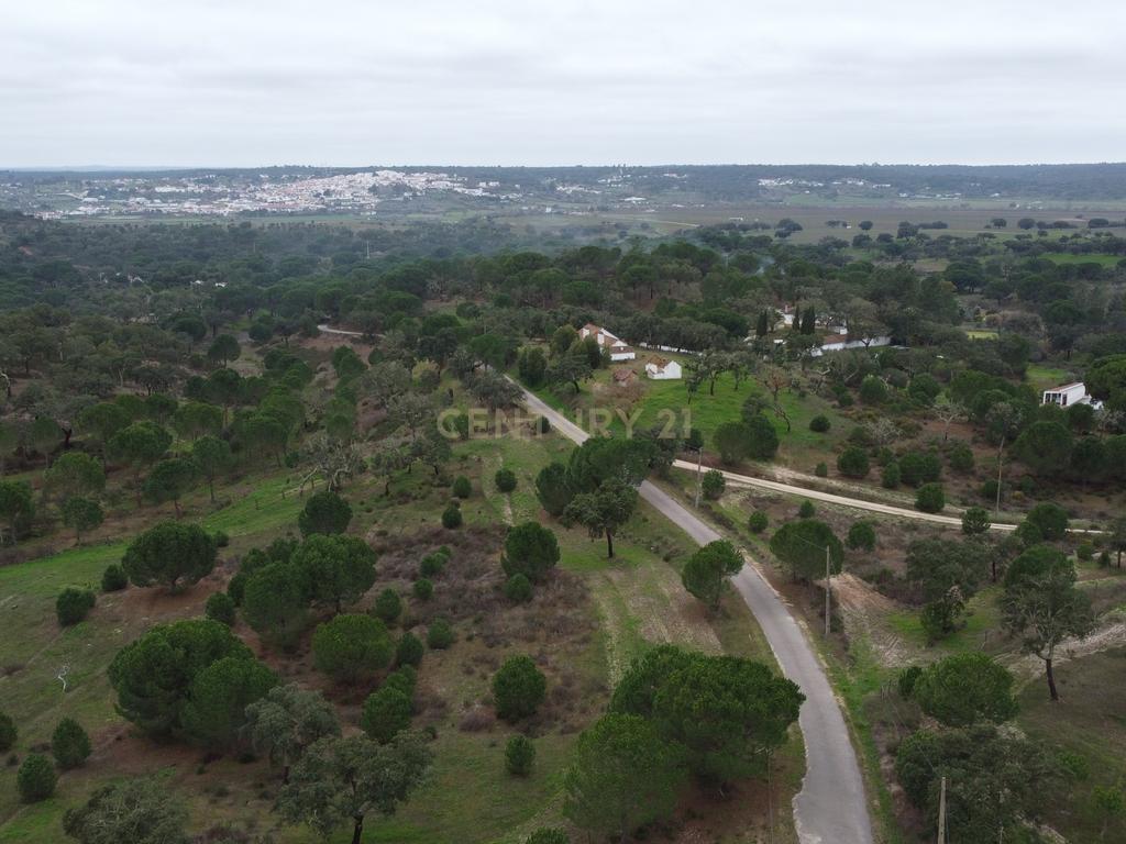 Quinta em Mora - Alentejo - Image 43