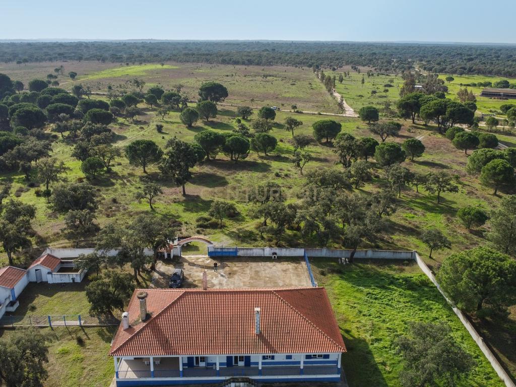 Moradia T4 em Herdade de 9,5 ha - Image 66
