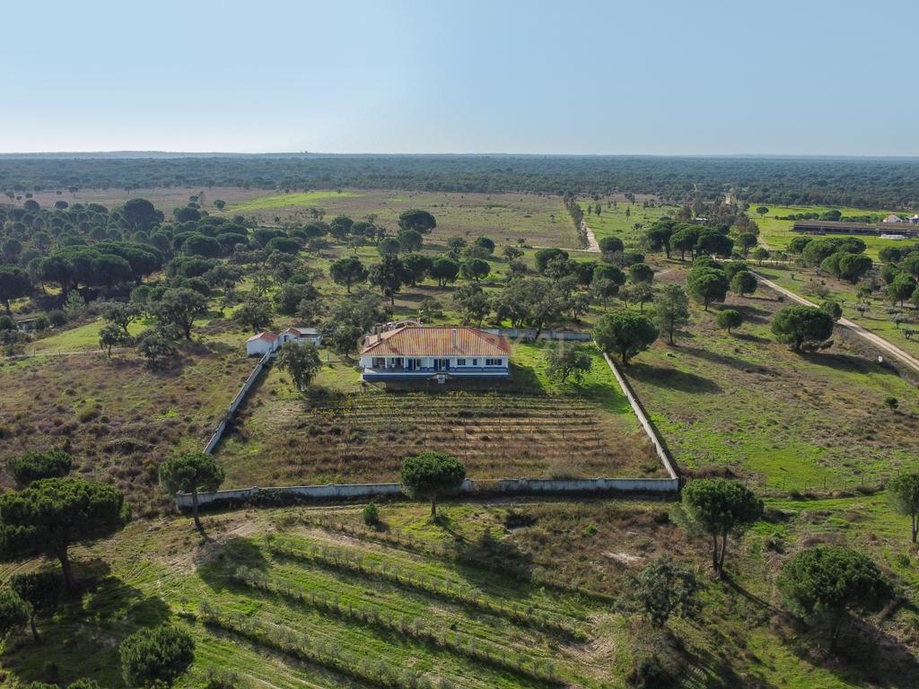 Moradia T4 em Herdade de 9,5 ha - Image 69