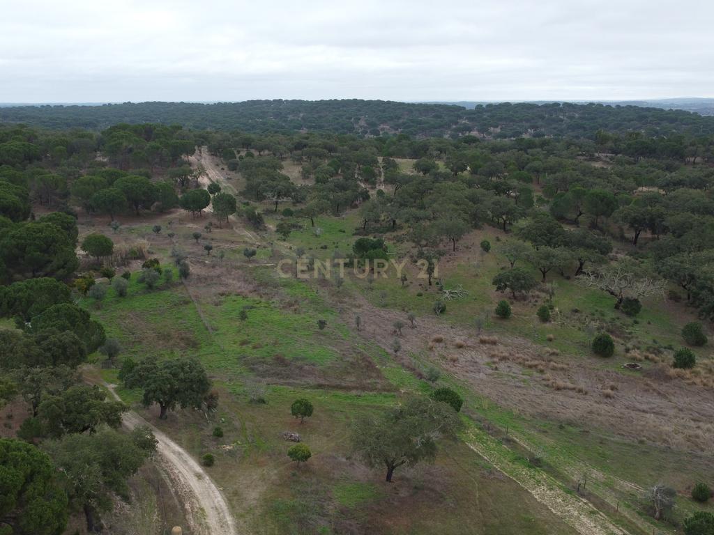 Quinta em Mora - Alentejo - Image 42