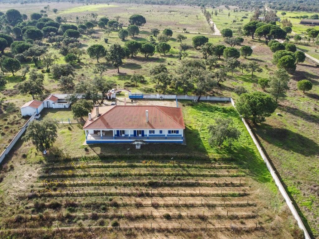 Moradia T4 em Herdade de 9,5 ha - Image 65