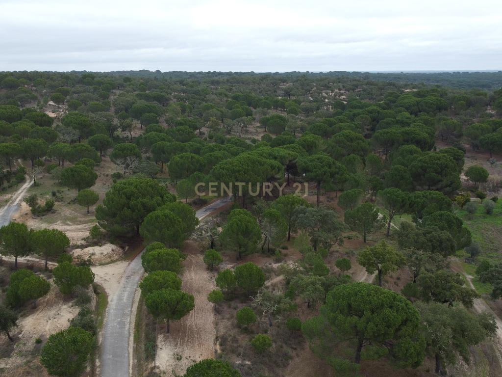 Quinta em Mora - Alentejo - Image 41