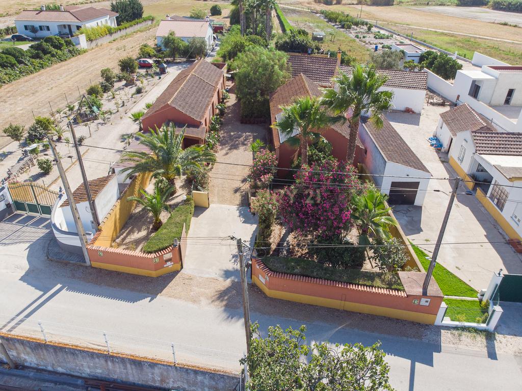 Quintinha com Casa Isolada em Marinhais - Image 61