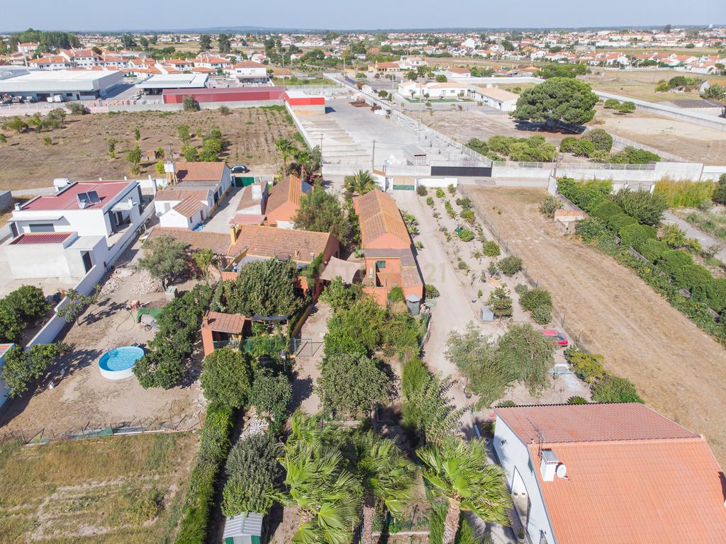 Quintinha com Casa Isolada em Marinhais - Image 63