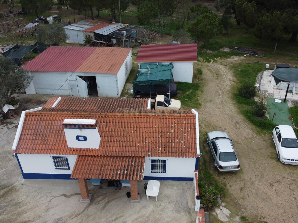 Quinta em Mora - Alentejo - Image 14