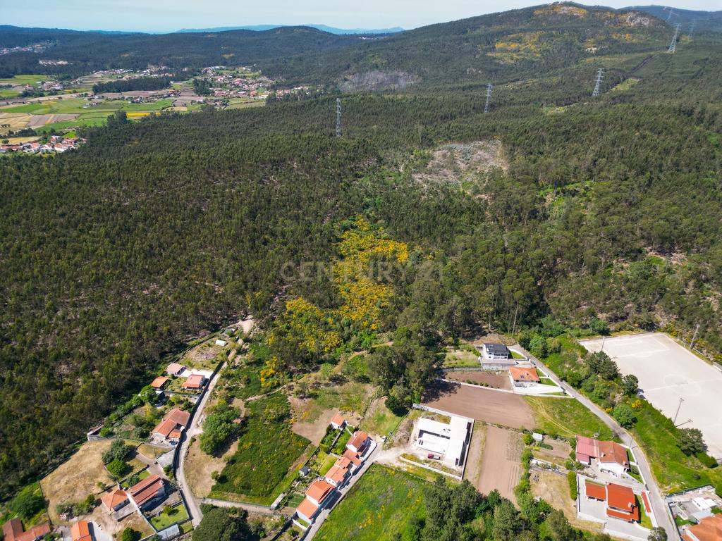 Terreno: "Bouça de Manteiros", ou "das Fontainhas" - Image 39