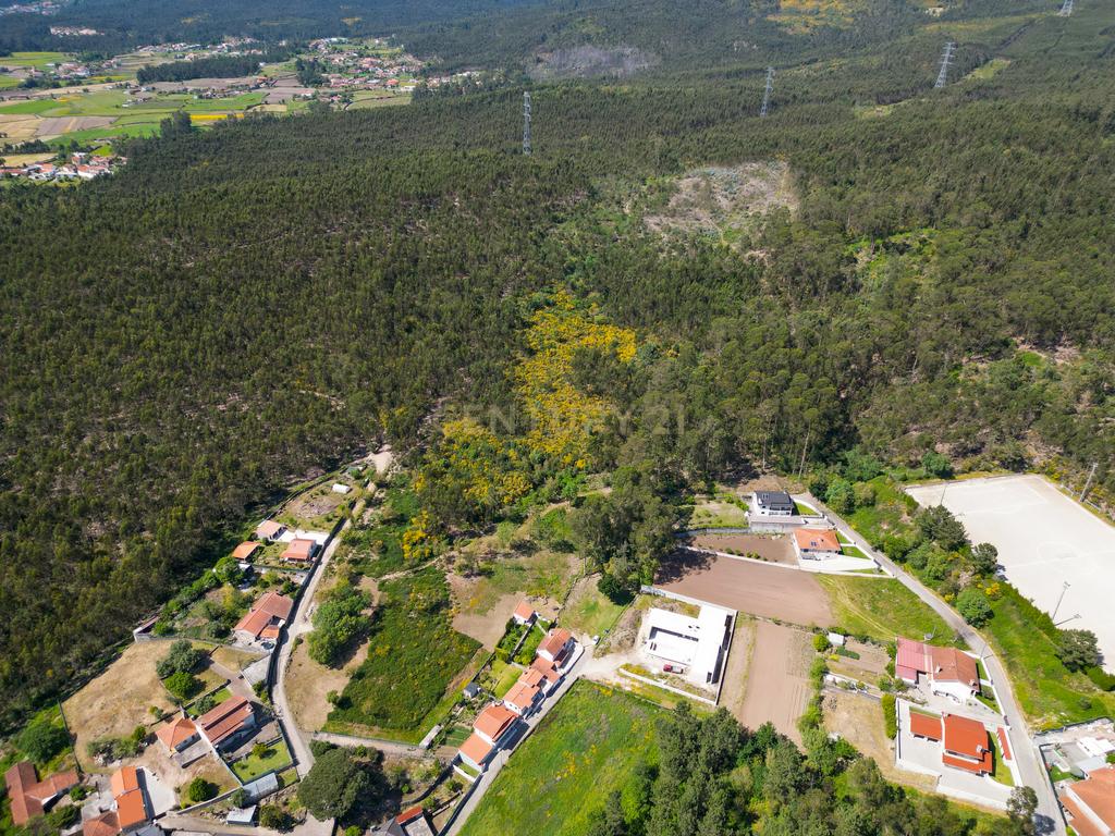 Terreno: "Bouça de Manteiros", ou "das Fontainhas" - Image 27