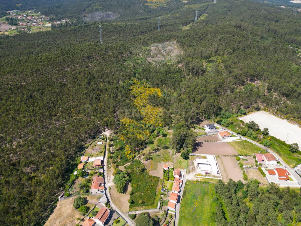 Terreno: "Bouça de Manteiros", ou "das Fontainhas" - Image 38