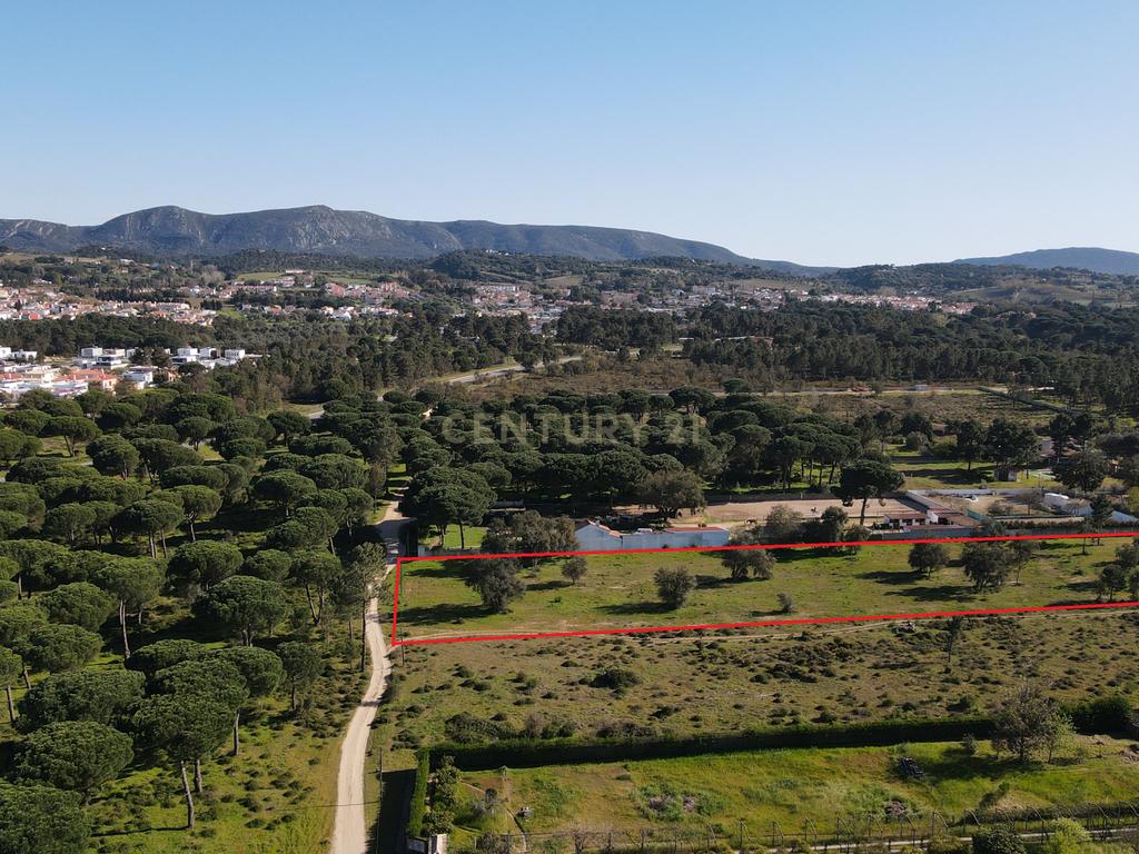 Terreno c/ Projeto Aprovado | Azeitão | Setúbal - Image 17