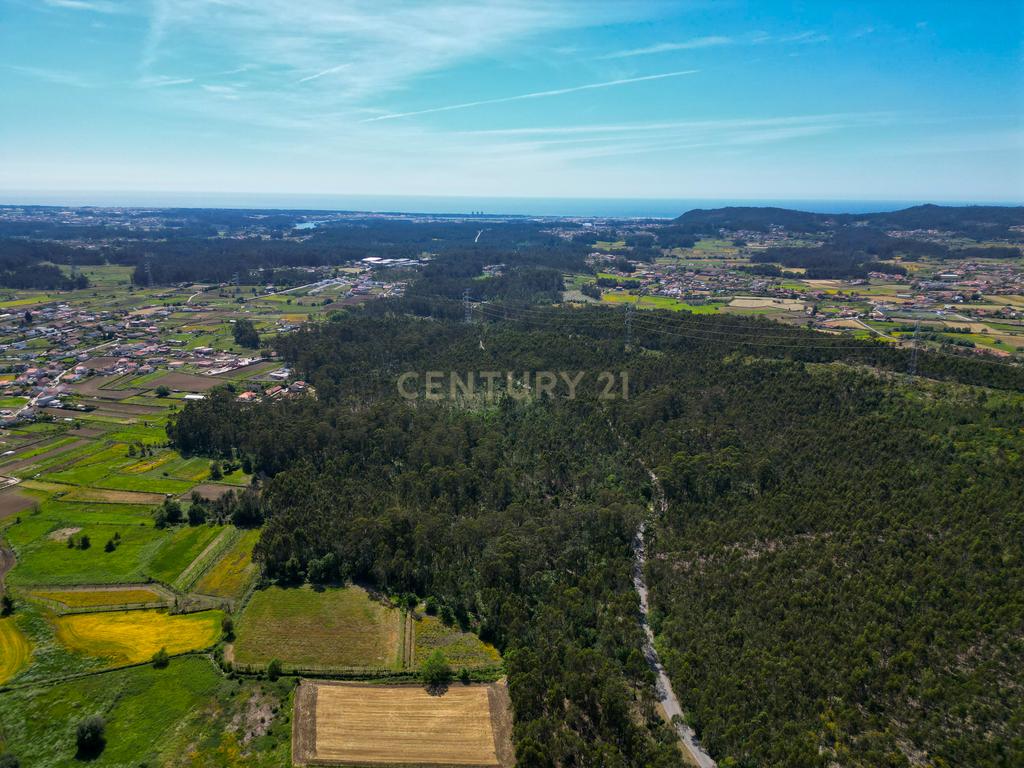 Terreno: "Bouça de Manteiros", ou "das Fontainhas" - Image 35