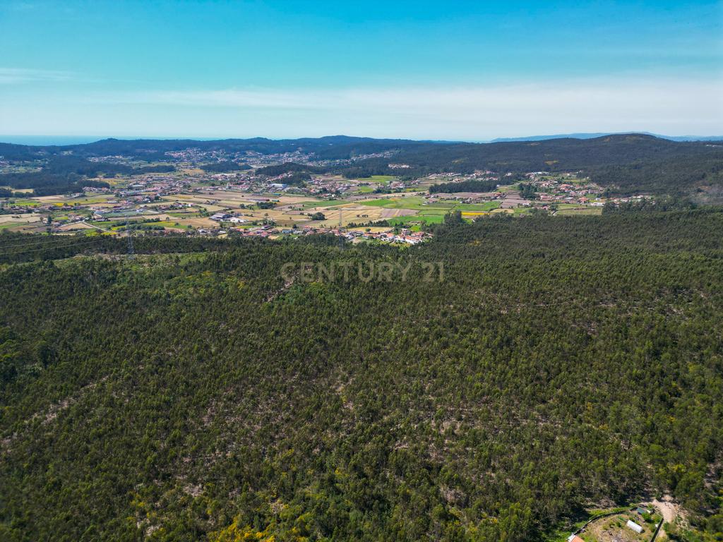 Terreno: "Bouça de Manteiros", ou "das Fontainhas" - Image 31