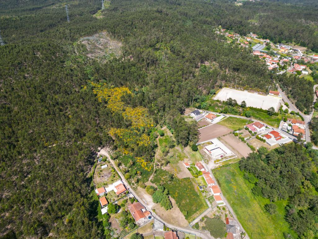 Terreno: "Bouça de Manteiros", ou "das Fontainhas" - Image 32