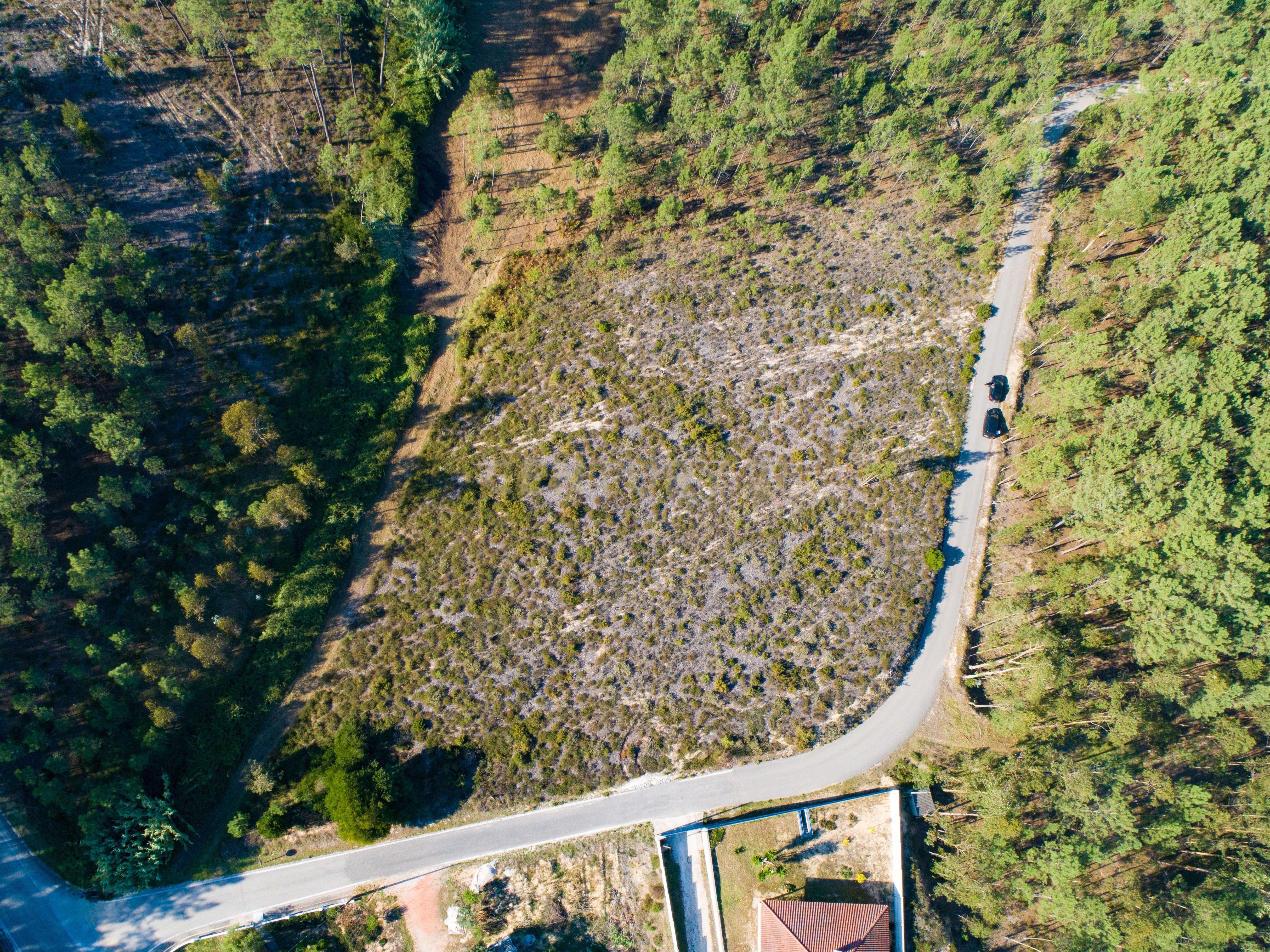 Terreno com 4950m2 - Image 3