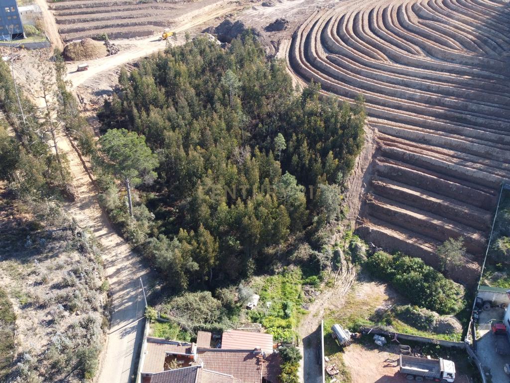 Terreno Melres - Image 7