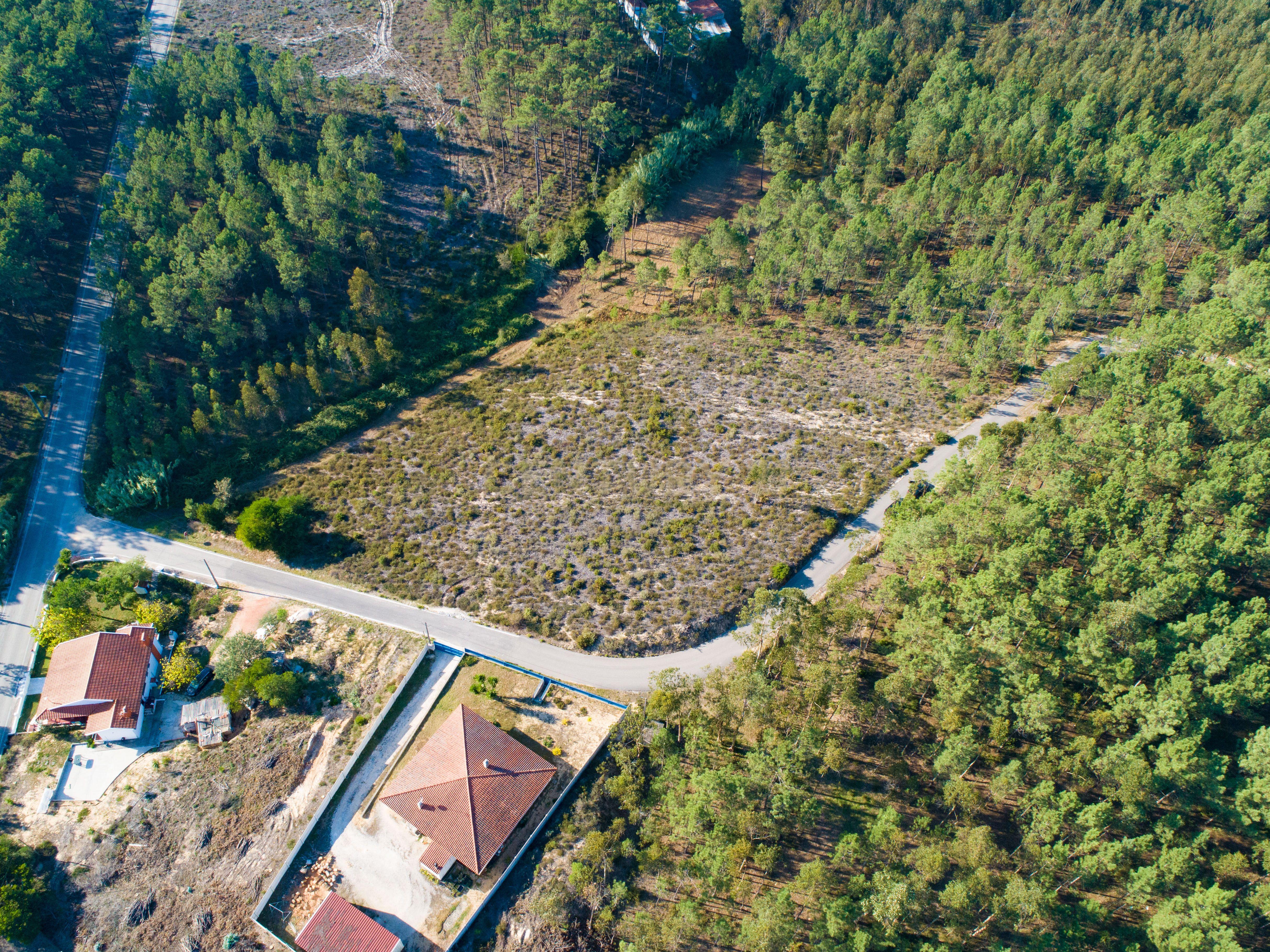 Terreno com 4950m2 - Image 4
