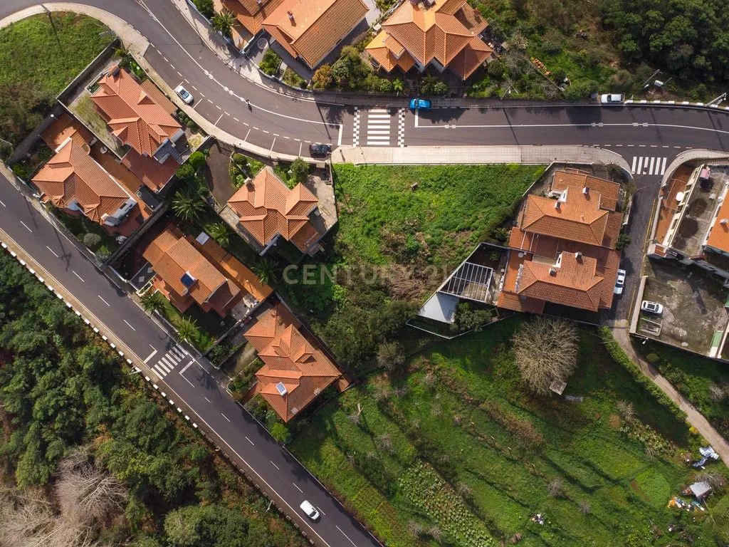 Lote Terreno para construção - Vale Paraíso, Camacha - Image 5