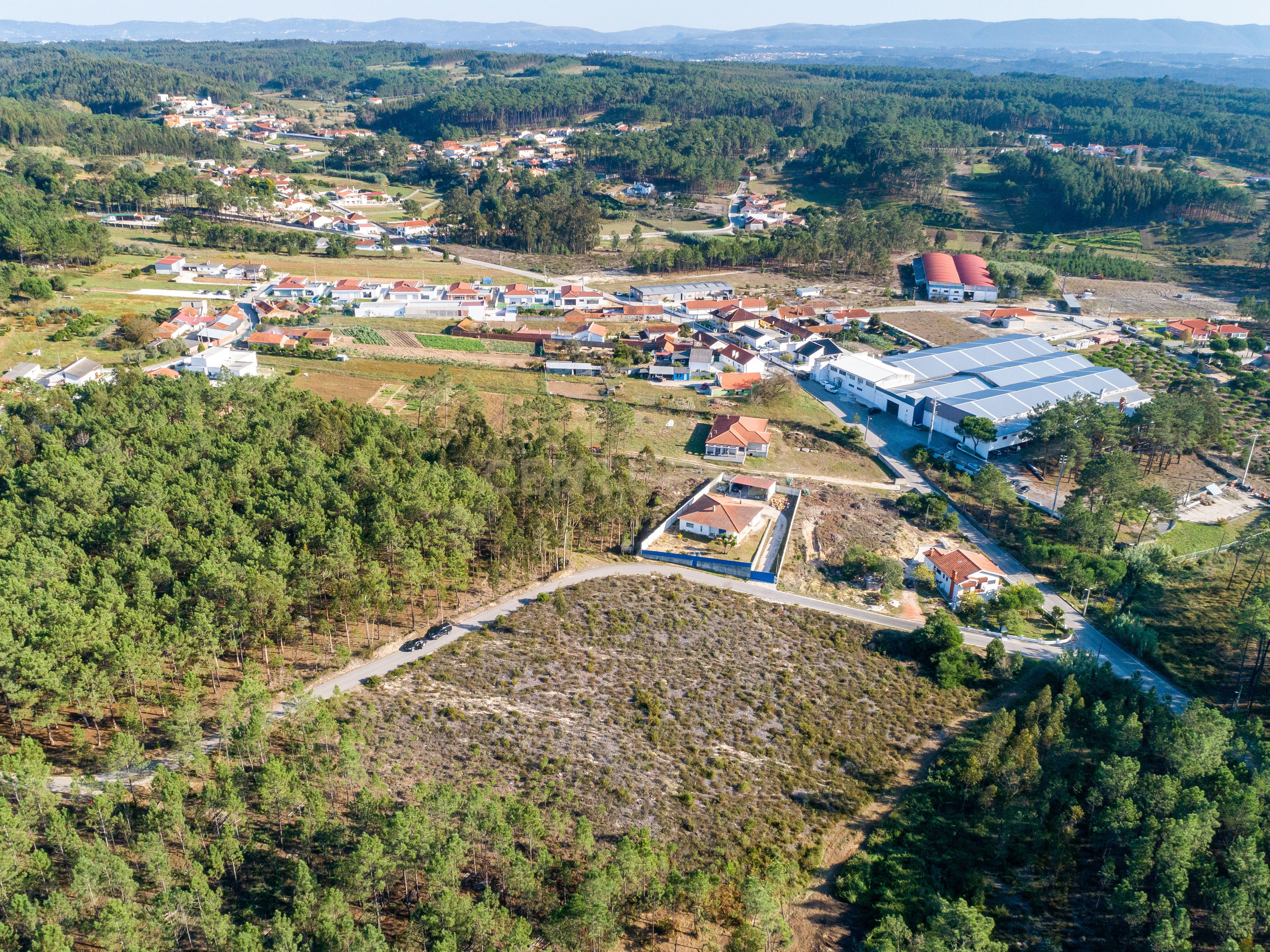 Terreno com 4950m2 - Image 5