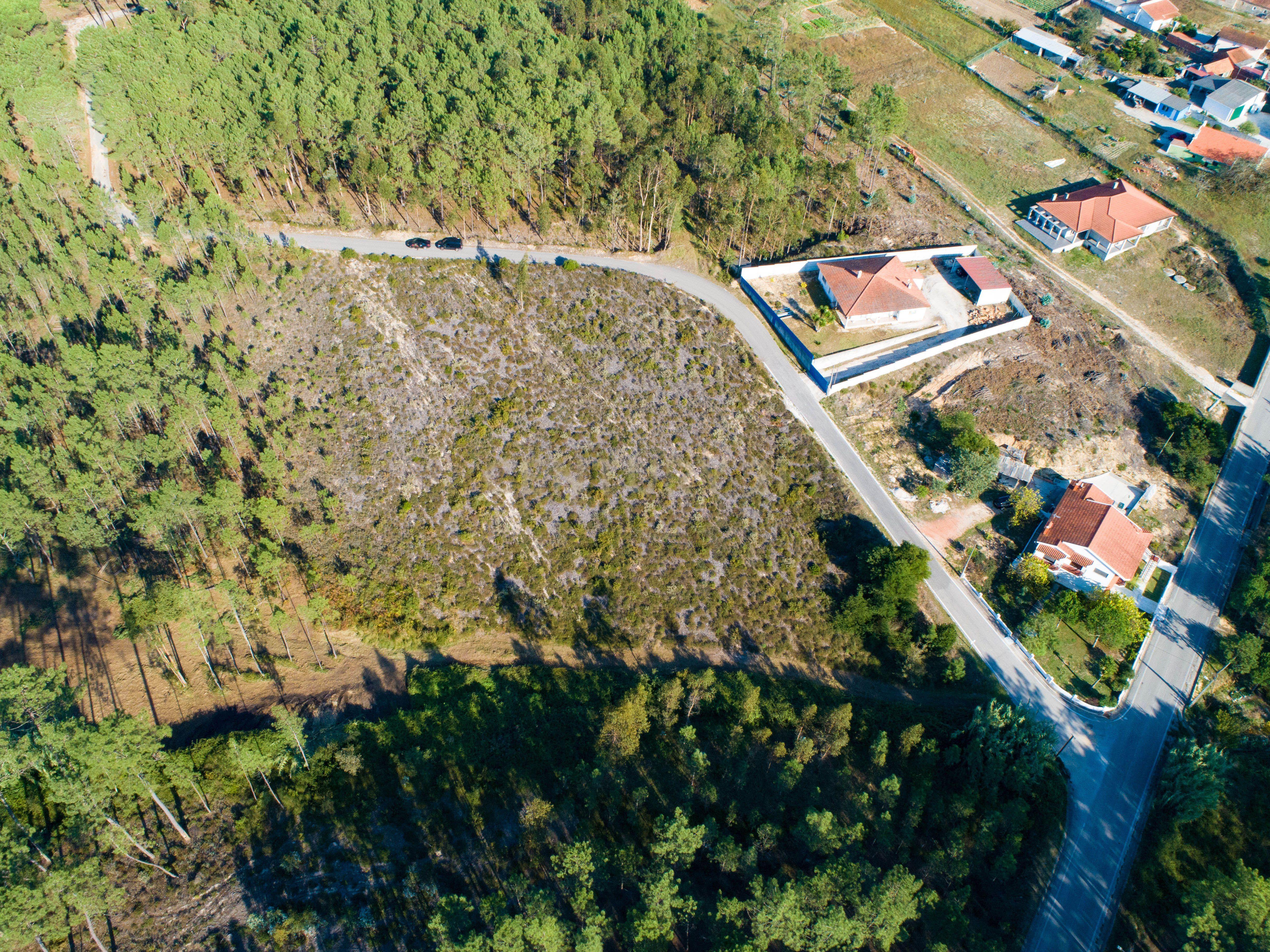 Terreno com 4950m2 - Image 6