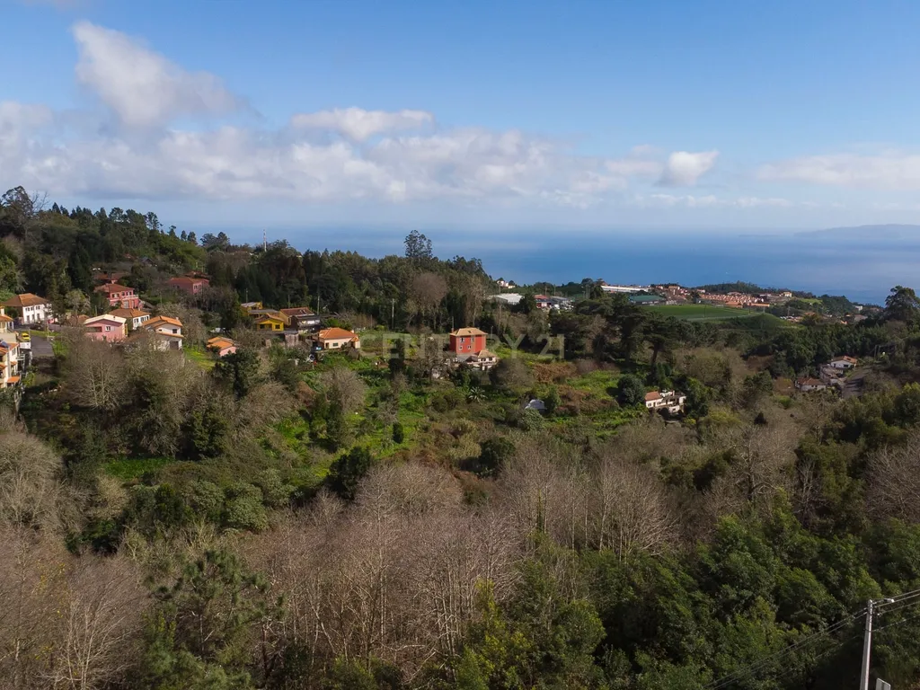 Lote Terreno para construção - Vale Paraíso, Camacha - Image 7