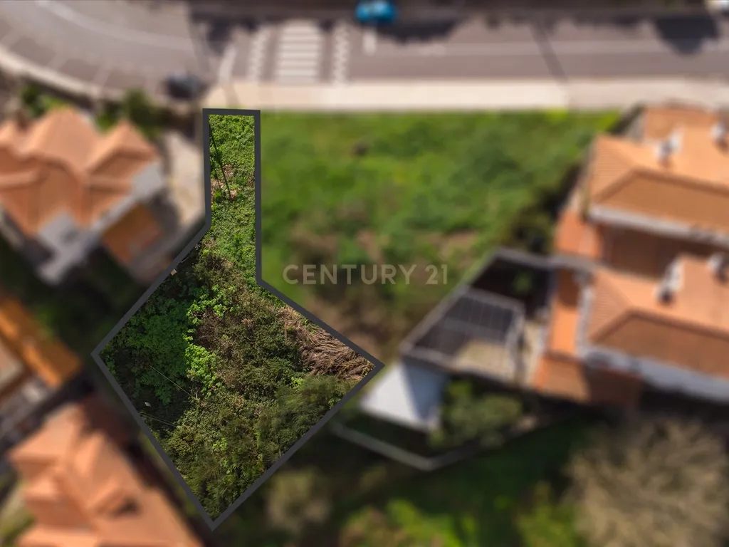 Lote Terreno para construção - Vale Paraíso, Camacha - Image 4