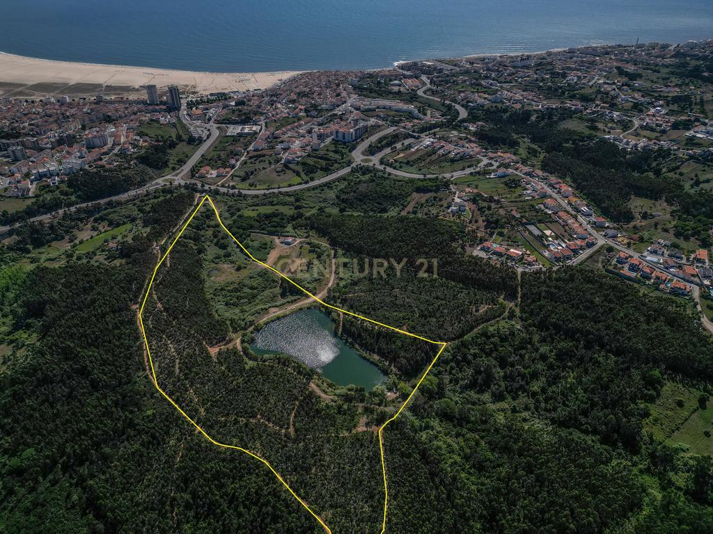 Terreno Premium na Figueira da Foz - Image 1