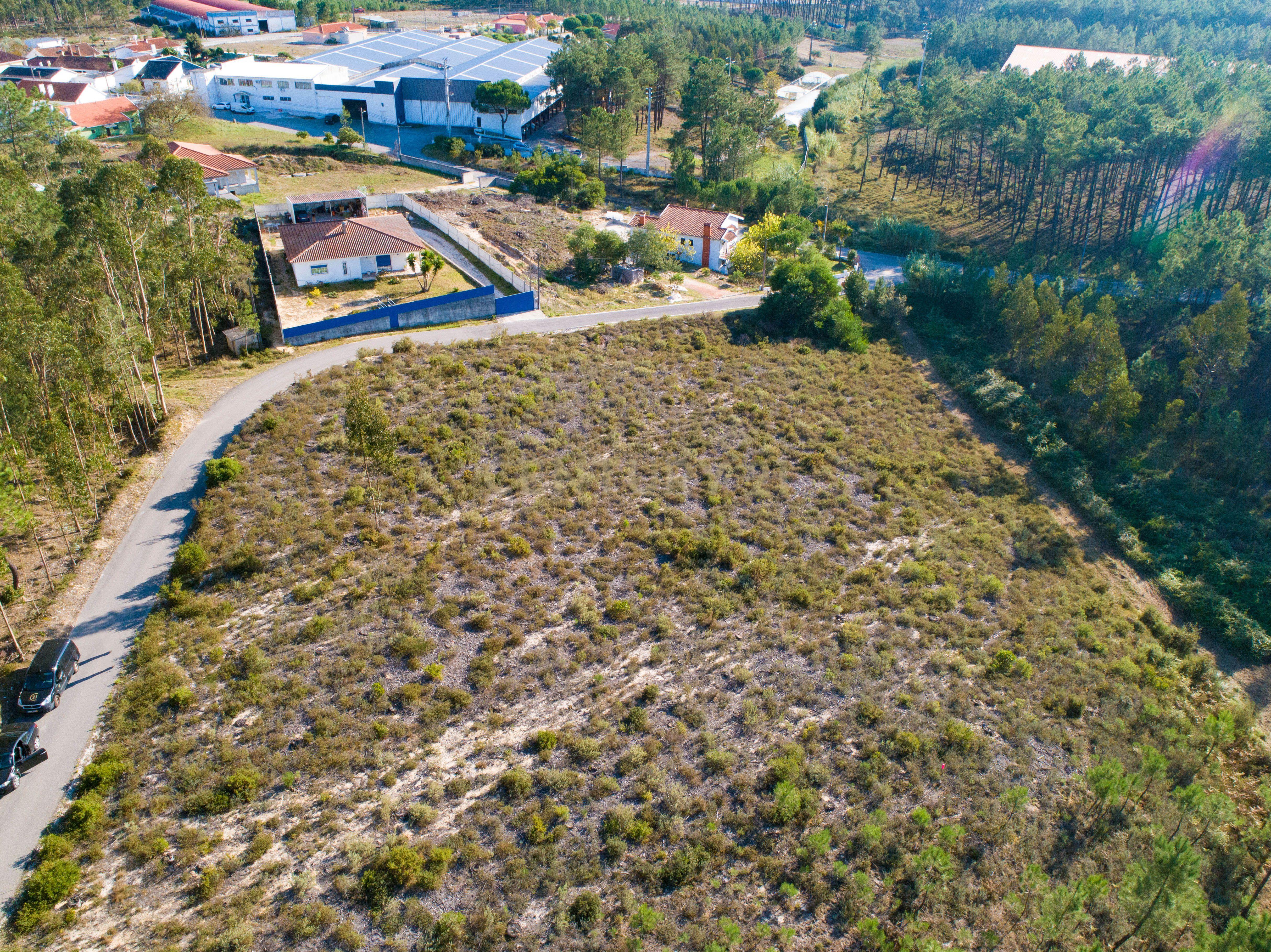 Terreno com 4950m2 - Image 7