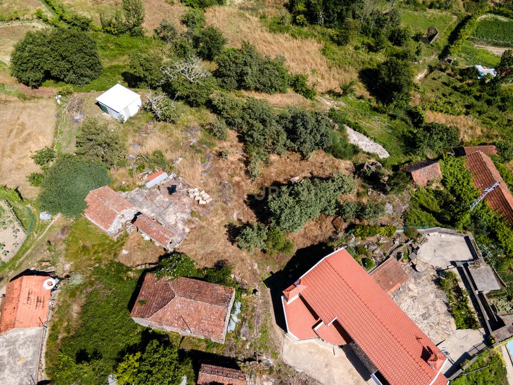 Terreno na aldeia preservada de Fandinhães - Image 9