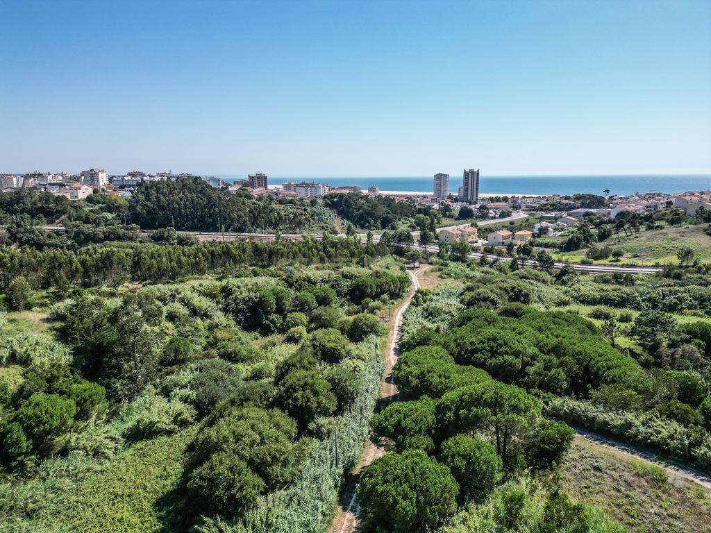Terreno Premium na Figueira da Foz - Image 16