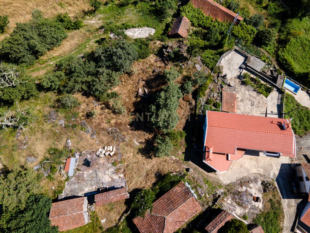 Terreno na aldeia preservada de Fandinhães - Image 5