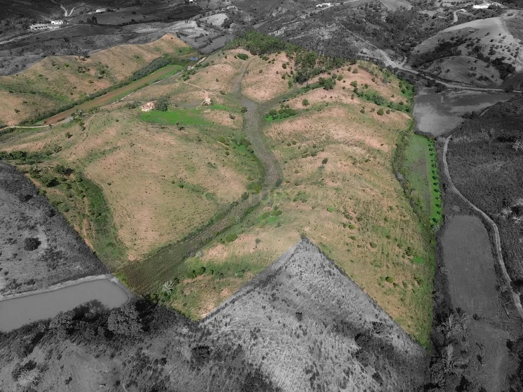 Herdade com 15 Hectares a 5 minutos de São Bartolomeu de Messines, Algarve - Image 3