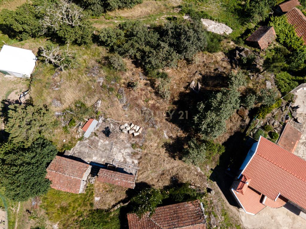 Terreno na aldeia preservada de Fandinhães - Image 8