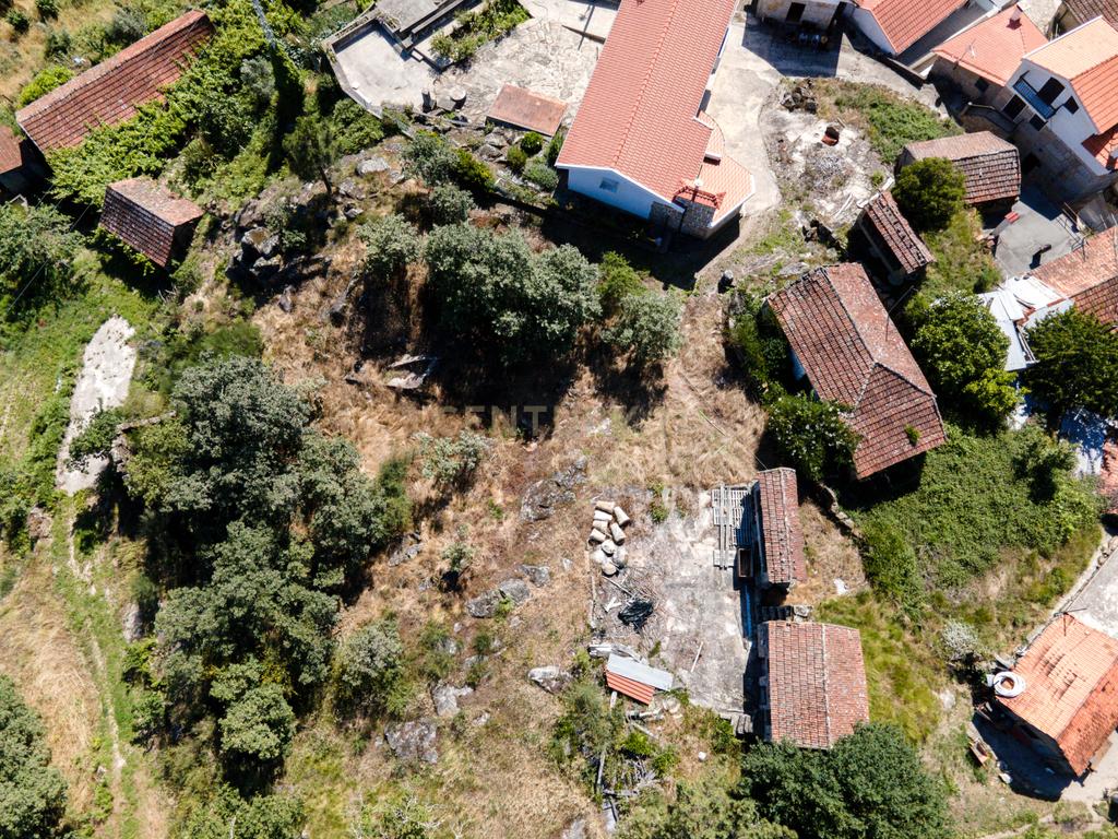 Terreno na aldeia preservada de Fandinhães - Image 7