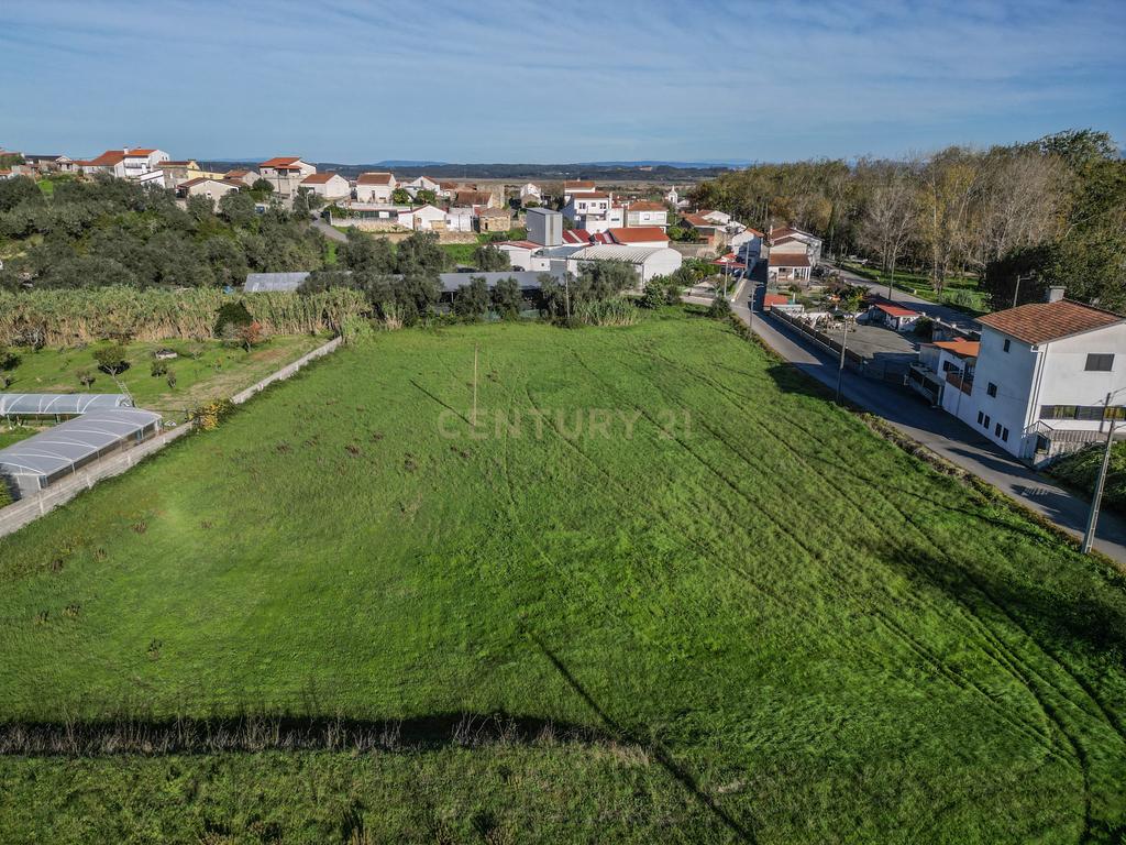 Terreno de 7.000m² na Vila de Maiorca - Image 15
