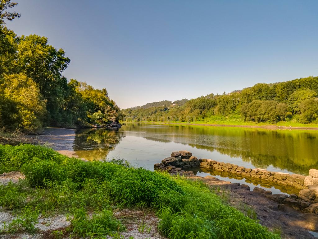 Quinta com frente Rio Tâmega, Amarante - Image 11