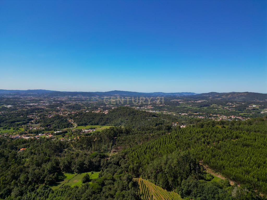 Quinta e Herdade T6 - Image 9