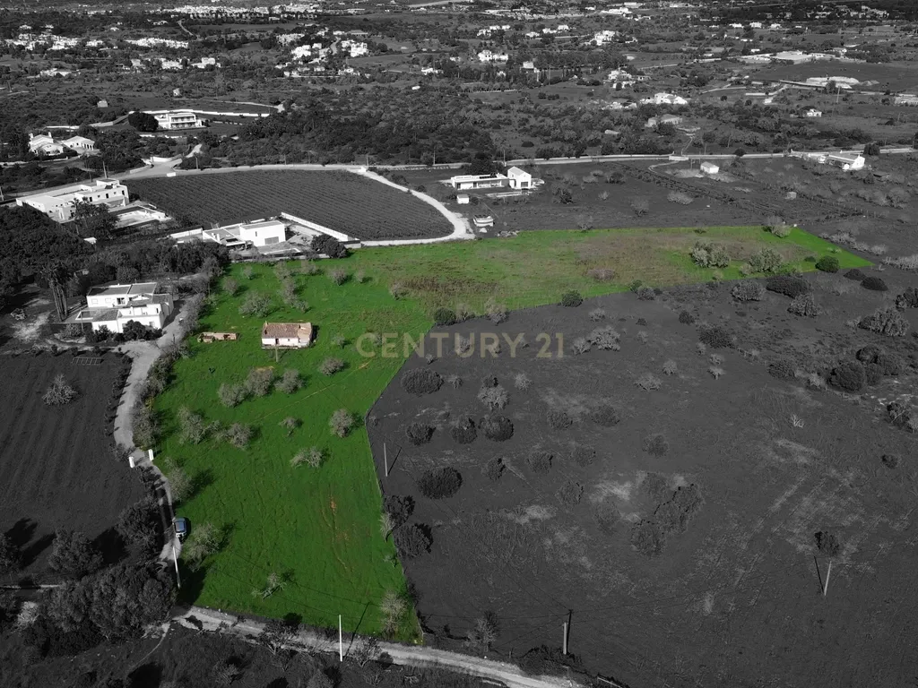 Quinta com ruína com uma área total de 16.970m2 e projeto aprovado para construção até 300m2, apenas a 5 minutos das praias. - Image 2