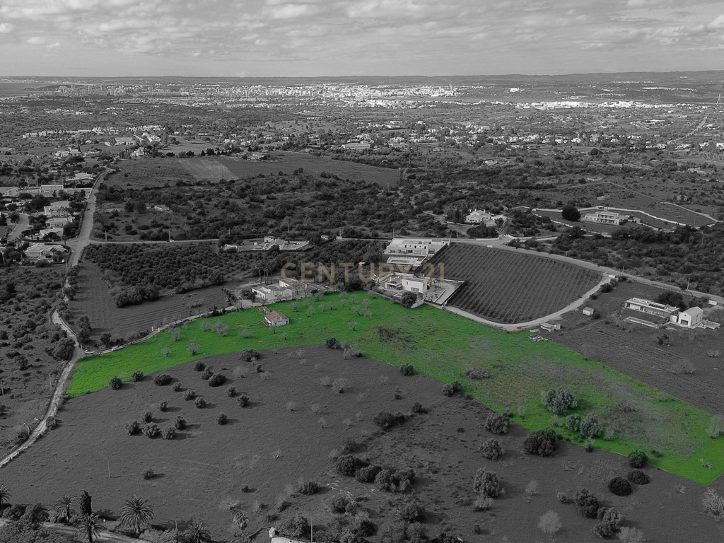 Quinta com ruína com uma área total de 16.970m2 e projeto aprovado para construção até 300m2, apenas a 5 minutos das praias. - Image 6