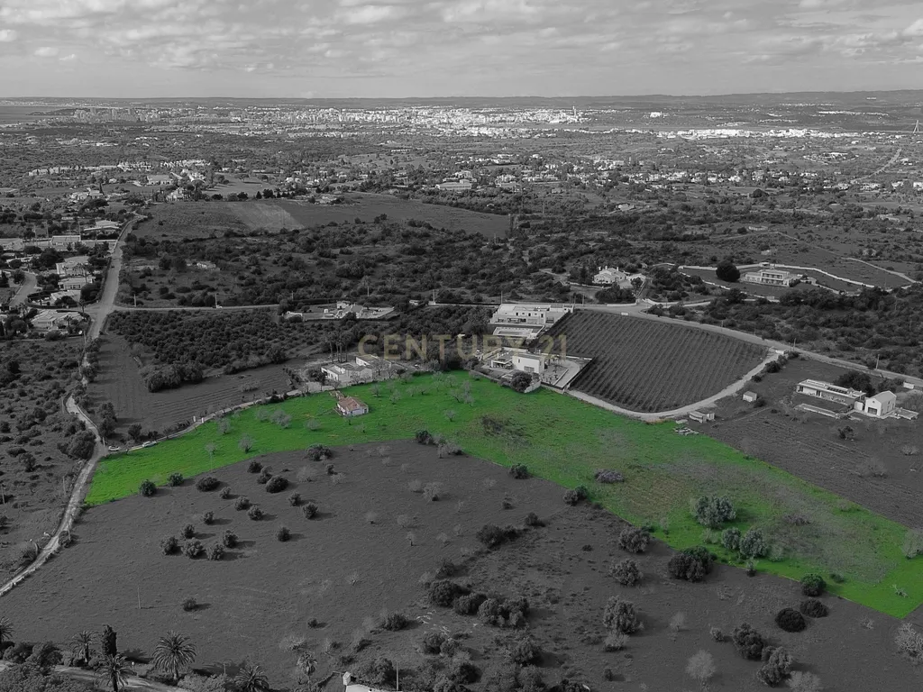 Quinta com ruína com uma área total de 16.970m2 e projeto aprovado para construção até 300m2, apenas a 5 minutos das praias. - Image 6