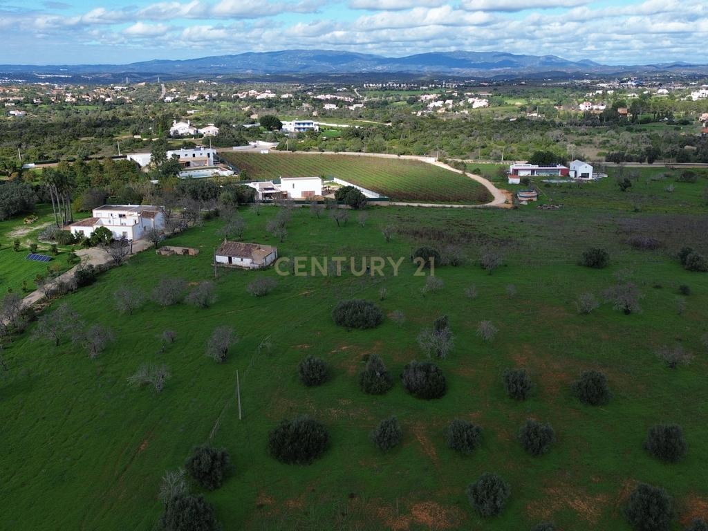 Quinta com ruína com uma área total de 16.970m2 e projeto aprovado para construção até 300m2, apenas a 5 minutos das praias. - Image 7