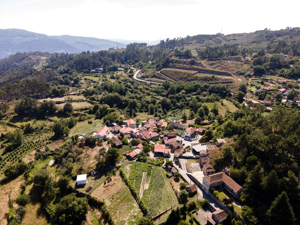 Terreno na aldeia preservada de Fandinhães - Image 6