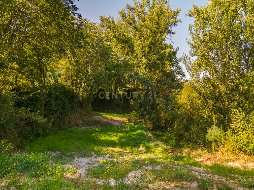 Quinta com frente Rio Tâmega, Amarante - Image 18