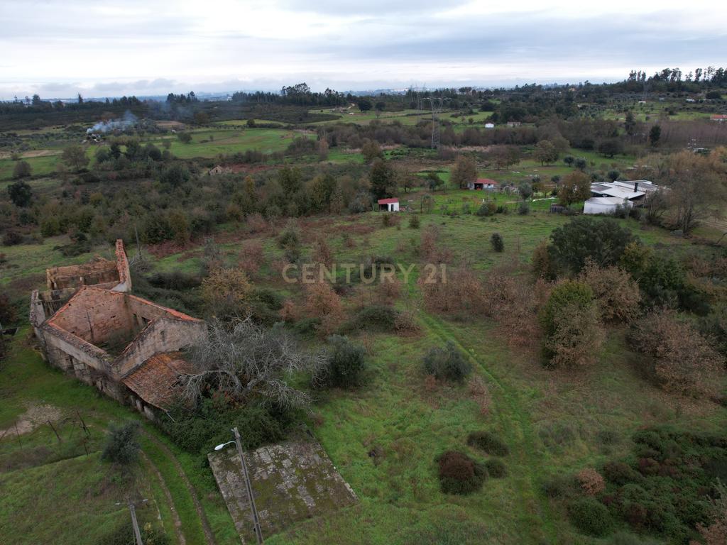 Quinta em Oliveira do Hospital, com 60000 m2 com casas para recuperar. - Image 15