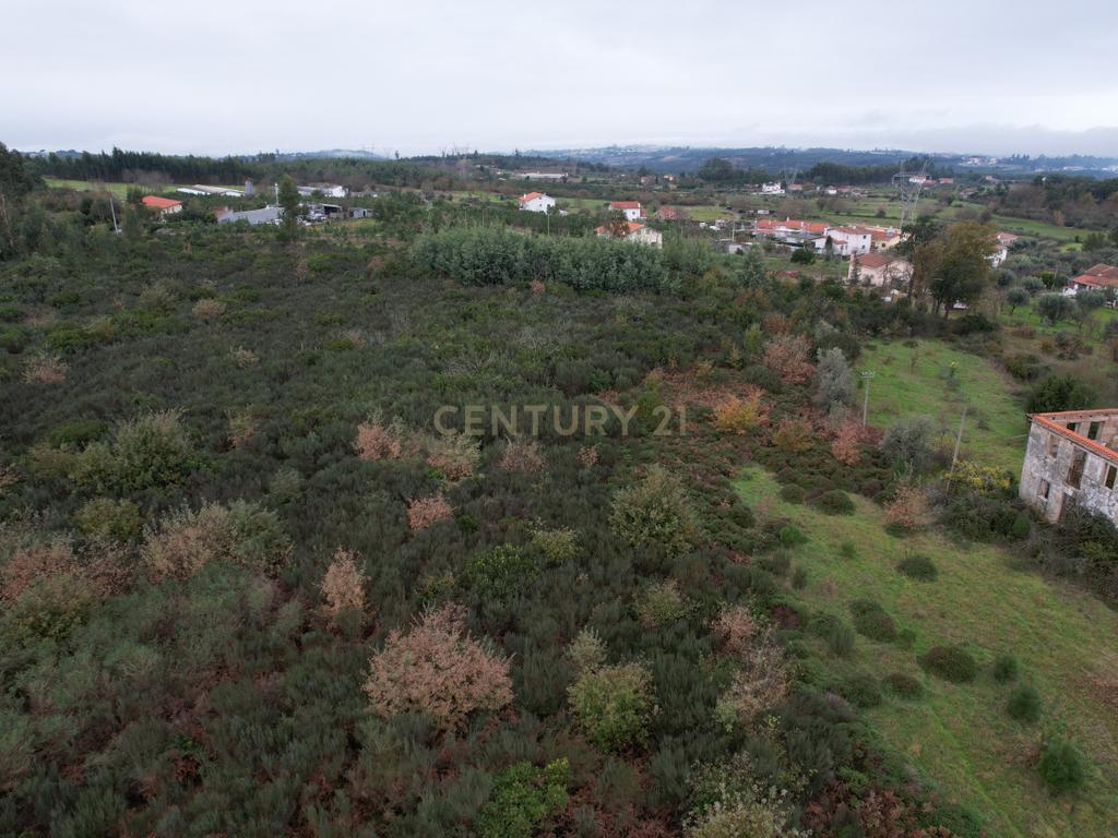 Quinta em Oliveira do Hospital, com 60000 m2 com casas para recuperar. - Image 16