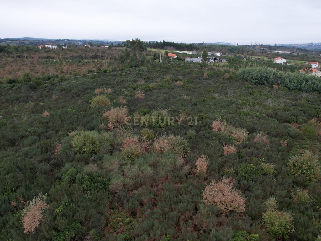 Quinta em Oliveira do Hospital, com 60000 m2 com casas para recuperar. - Image 17