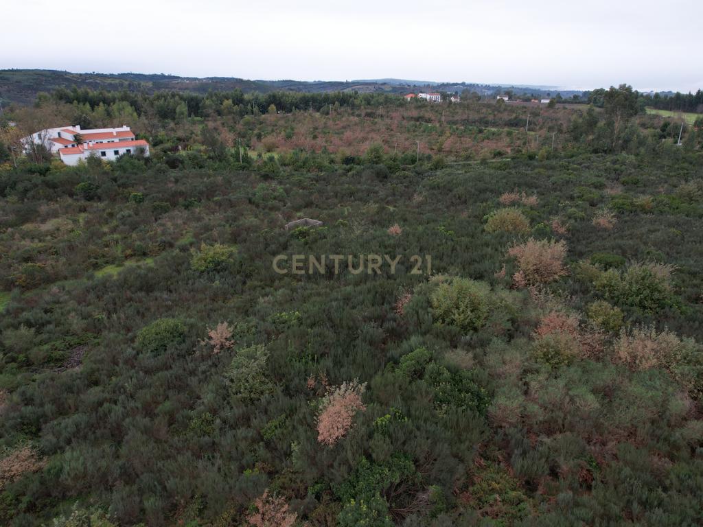 Quinta em Oliveira do Hospital, com 60000 m2 com casas para recuperar. - Image 18