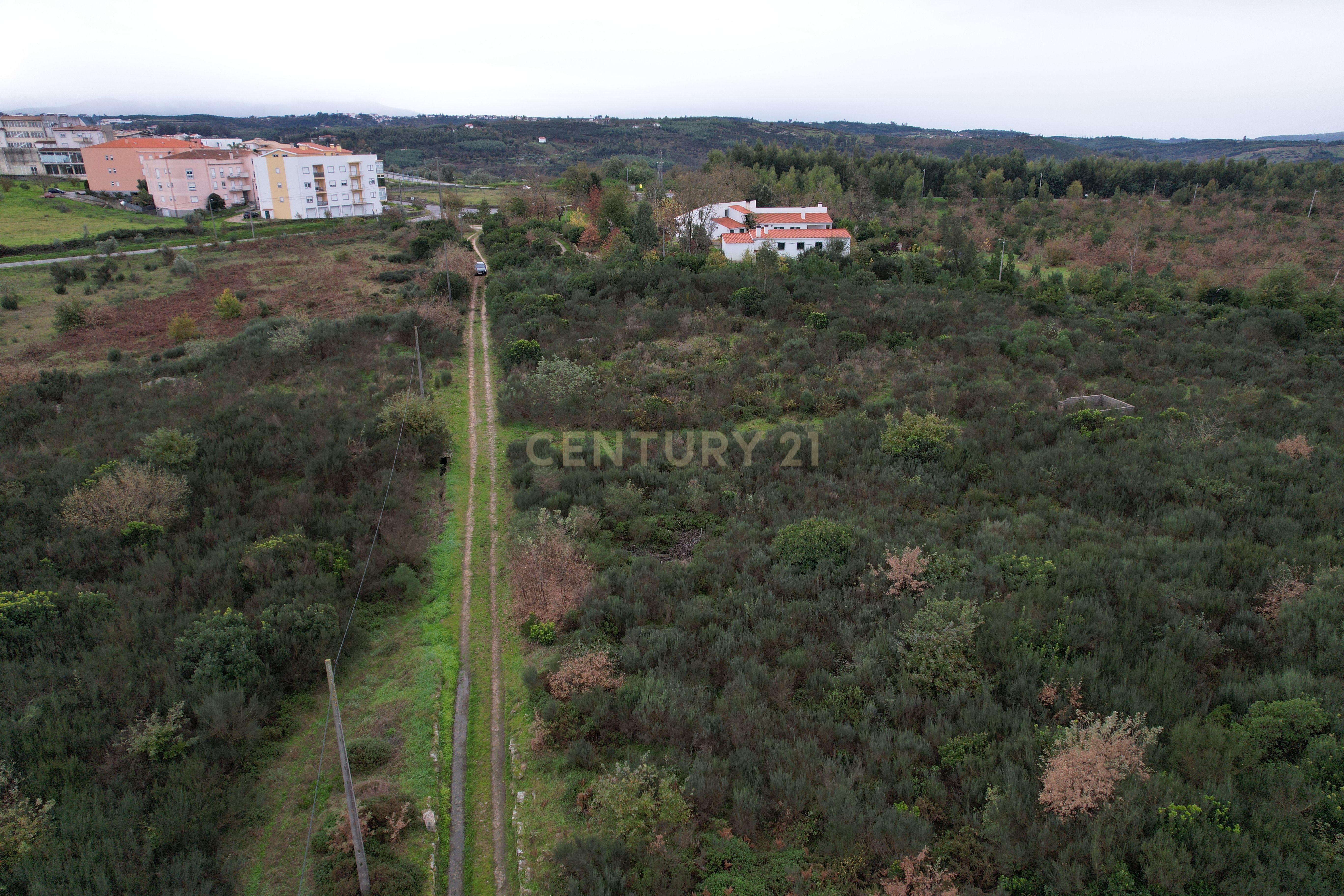 Quinta em Oliveira do Hospital, com 60000 m2 com casas para recuperar. - Image 19