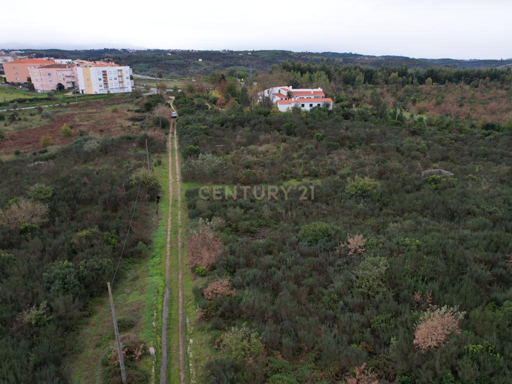 Quinta em Oliveira do Hospital, com 60000 m2 com casas para recuperar. - Image 19