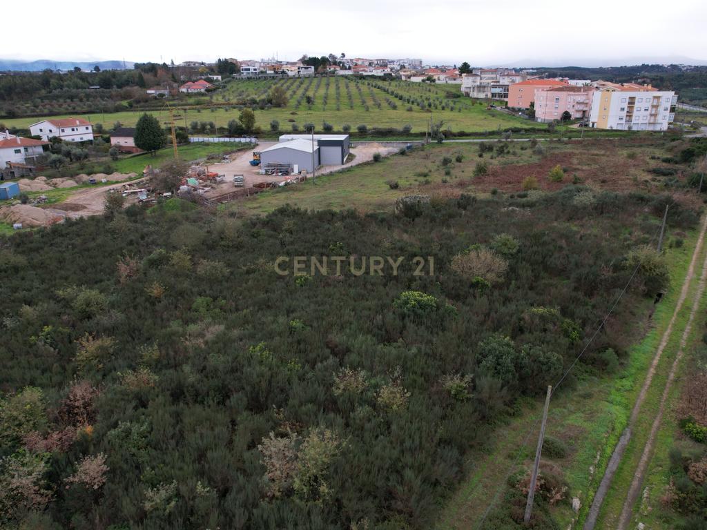Quinta em Oliveira do Hospital, com 60000 m2 com casas para recuperar. - Image 21