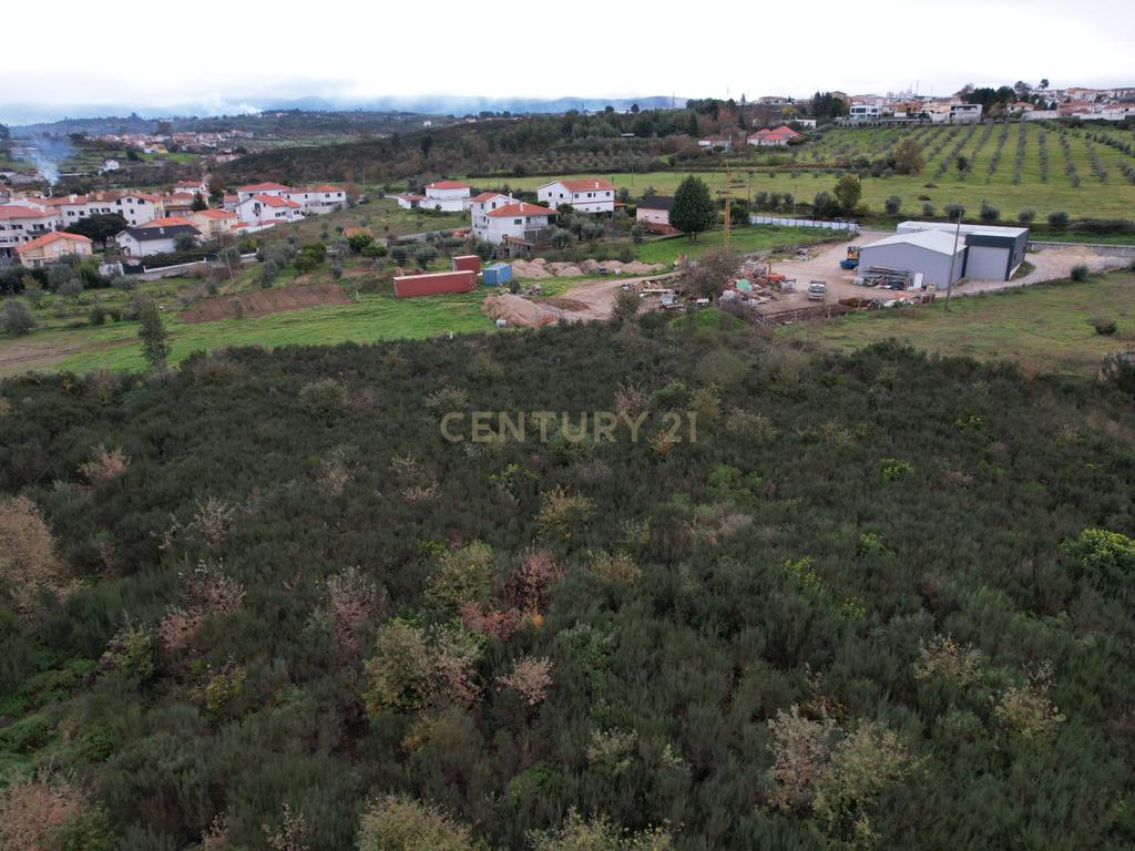 Quinta em Oliveira do Hospital, com 60000 m2 com casas para recuperar. - Image 22